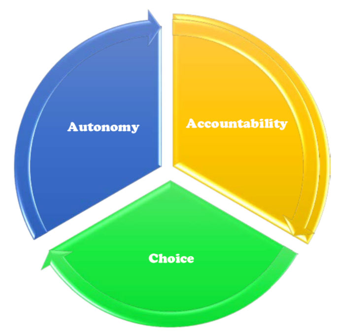 Autonomy, Accountability and Choice in a three way chart